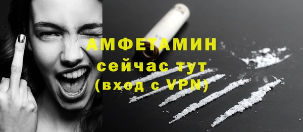 Альфа ПВП Верея