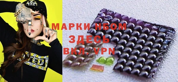 Альфа ПВП Верея