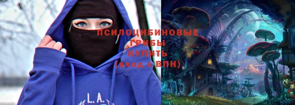Альфа ПВП Верея
