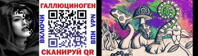 Псилоцибиновые грибы Cubensis  Купить где  Дубовка 